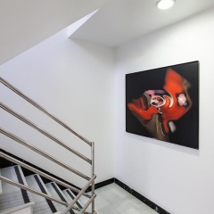 Del Pintor Hotel - Bild 11