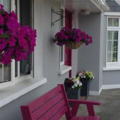 The Well Bed And Breakfast in Clonakilty, Ireland from 177$, photos, reviews - zenhotels.com photo 27