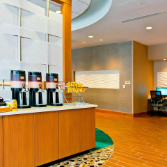 Springhill Suites by Marriott Pittsburgh Mt. Lebanon thumbnail 29