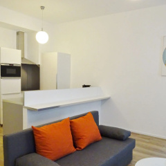 Luxury Oldtown Apartments thumbnail 6