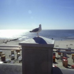 Nordsee Hotel Borkum - Bild 23