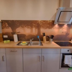 Ferienwohnungen in Schierke - Bild 11