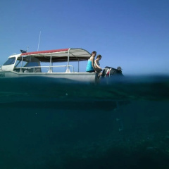Taveuni Dive Resort thumbnail 12