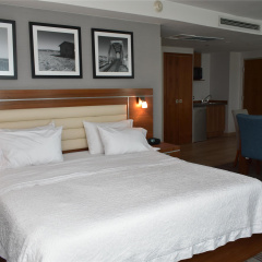 Hampton Inn by Hilton Hermosillo thumbnail 31