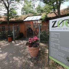 BS Living Ap am Zoo - Bild 15