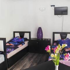 Hostel Tour Verginia in Yerevan, Armenia from 54$, photos, reviews - zenhotels.com entertainment