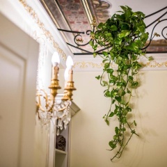 Trastevere Royal Suite Trilussa - Bild 1