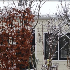 Bed&Breakfast de Noordeling - Bild 1