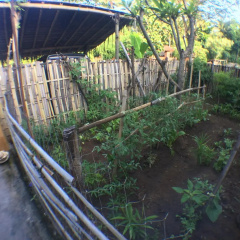 Jeges Homestay - Bild 16
