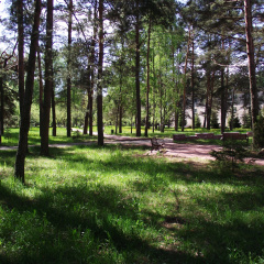 sanatorij Golubye ozera photo 2