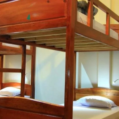 Wolfpack Hostel Dalat thumbnail 5