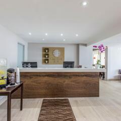 Abitta Boutique Hotel, Ascend Hotel Collection in Santurce, Puerto Rico from 192$, photos, reviews - zenhotels.com photo 20