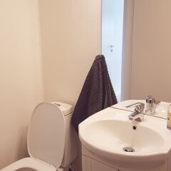 Cosy Tórshavn Apartment in Torshavn, Faroe Islands from 239$, photos, reviews - zenhotels.com bathroom