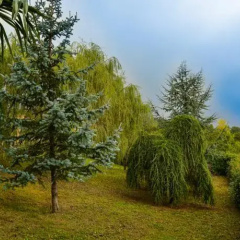 Guesthouse La Casa Del Conte thumbnail 5
