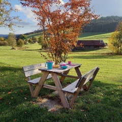 Ferienhaus Kaltenbach - Bild 4