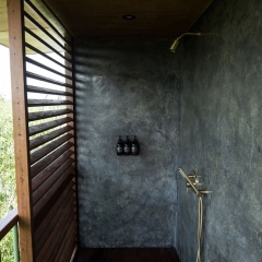 The Canopy - Bild 14