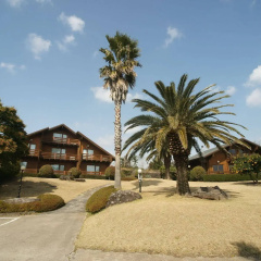 Sunny Day Jeju Pension thumbnail 13