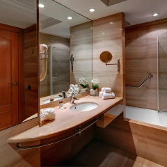 Aparthotel Hispanos 7 Suiza - Bild 10