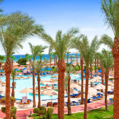 Pickalbatros Palace Resort - Hurghada - Bild 21