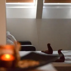 Aurellia Serviced Apartments - Bild 3