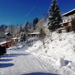 Schöne Aussicht - Bild 4