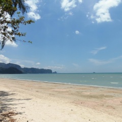 Elephant's End Guesthouse - Bild 19