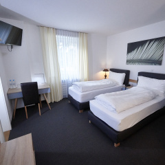 BALEGRA City Hotel Basel - Bild 4