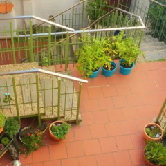 Alte Bckerei am Schlo - Bild 10