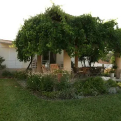 The Olive Grove Villa/PrivatePool thumbnail 8