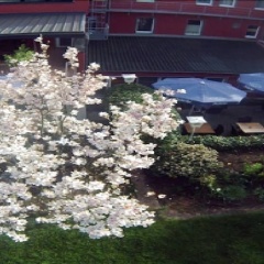 Hotel Wahlster - Bild 11