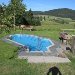 Hotel Schwarzwaldgasthof Zur Traube - Bild 16