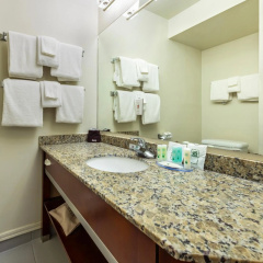 Sheraton Miami Airport Hotel & Executive Meeting Center - Bild 10