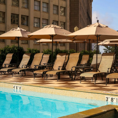 The Roosevelt New Orleans, A Waldorf Astoria Hotel thumbnail 21