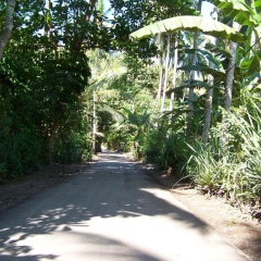 Vista Del Mar - Bild 2