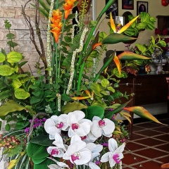 Andaman House (SHA Extra Plus) - Bild 10