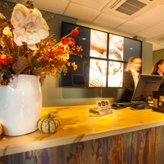 Best Western Zaan Inn, Amsterdam – Zaandam - Bild 2
