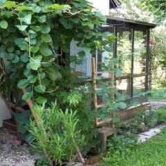 Ferienwohnung Nöll - Bild 8