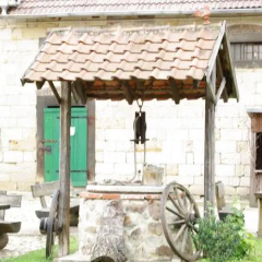 Schferhof Langenstein - Bild 5