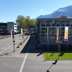 Swiss Apartments Interlaken thumbnail 21
