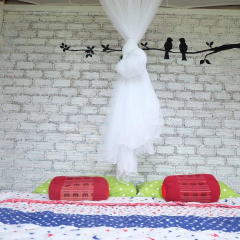 Nusha Homestay photo 2