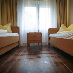 Ringeltaube - Bild 3