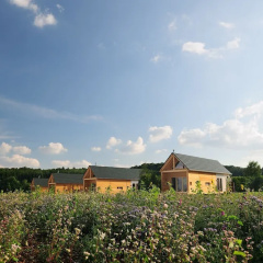 Hainichhöfe Premiumchalets thumbnail 8
