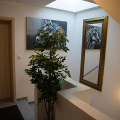 Hotel Pension Dorfschänke - Bild 8