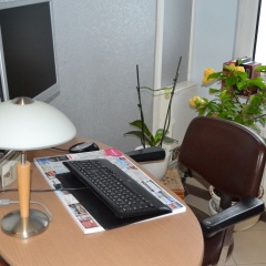 Art Of Comfort - Haus Ingeborg - Bild 4