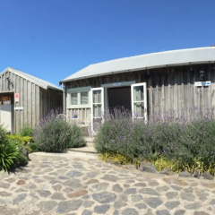 Mangawhai Chalets