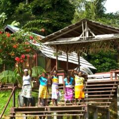 Danpaati River Lodge in Paramaribo, Suriname from 119$, photos, reviews - zenhotels.com meals