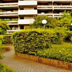 Weststadtblick - Bild 9