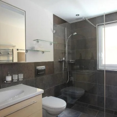 Swiss Lakeview Apartment thumbnail 7