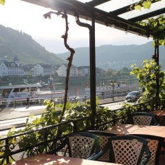 Beim Weinbauer - Bild 15