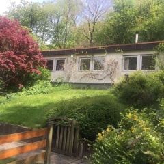 Geräumiger heller Bungalow - Bild 8